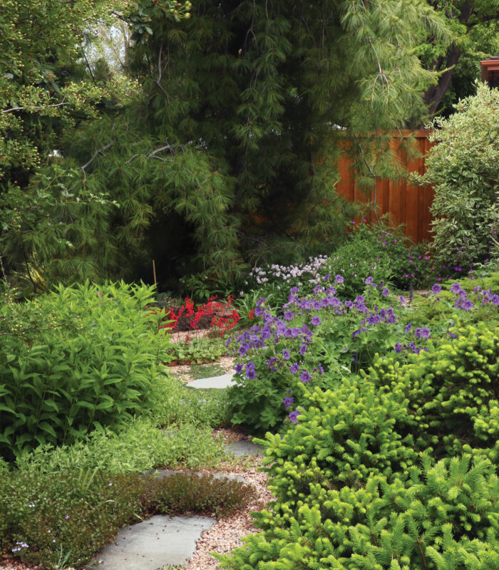 Create A Water-Wise Garden Design That Isn’t Dry And Boring - Fine ... for Drought Tolerant Garden