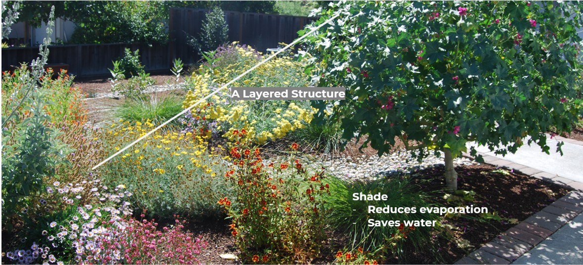Essential Guide To Water-Wise Gardening In California [2025] within How to design a resilient water wise garden that thrives on neglect