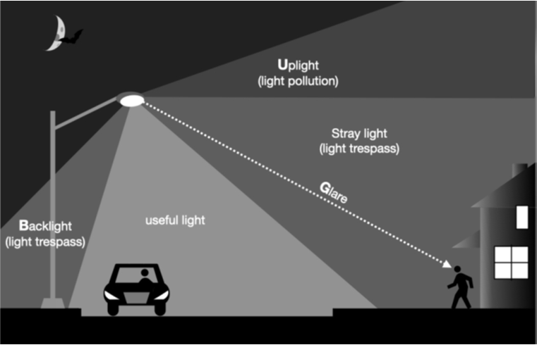 What researchers have learned about stopping light trespass and saving urban ecosystems