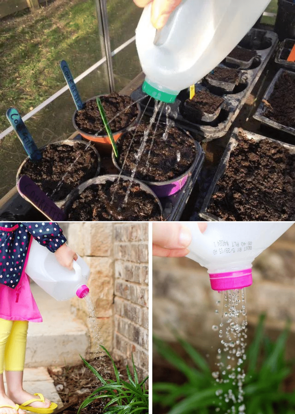 Milk Jug Watering Can: A Simple, Recycled Solution For Your Garden throughout Greywater System Design