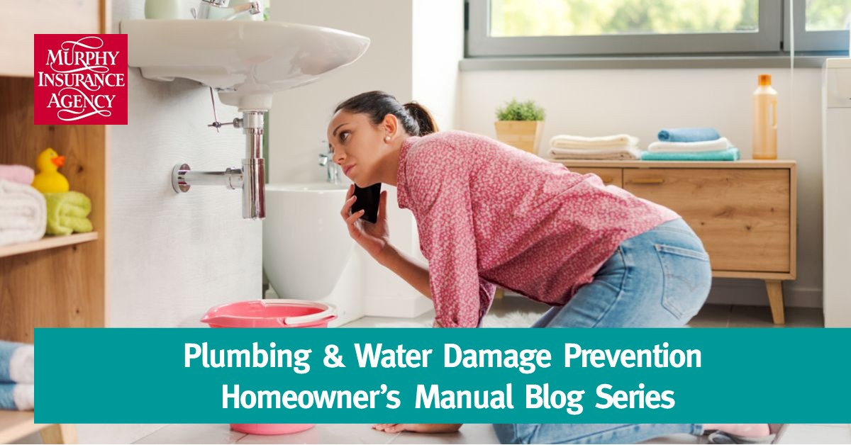 Plumbing &amp;amp; Water Damage Prevention | Homeowner&amp;#039;s Manual Blog Series | Blog with Tub Overflow Design