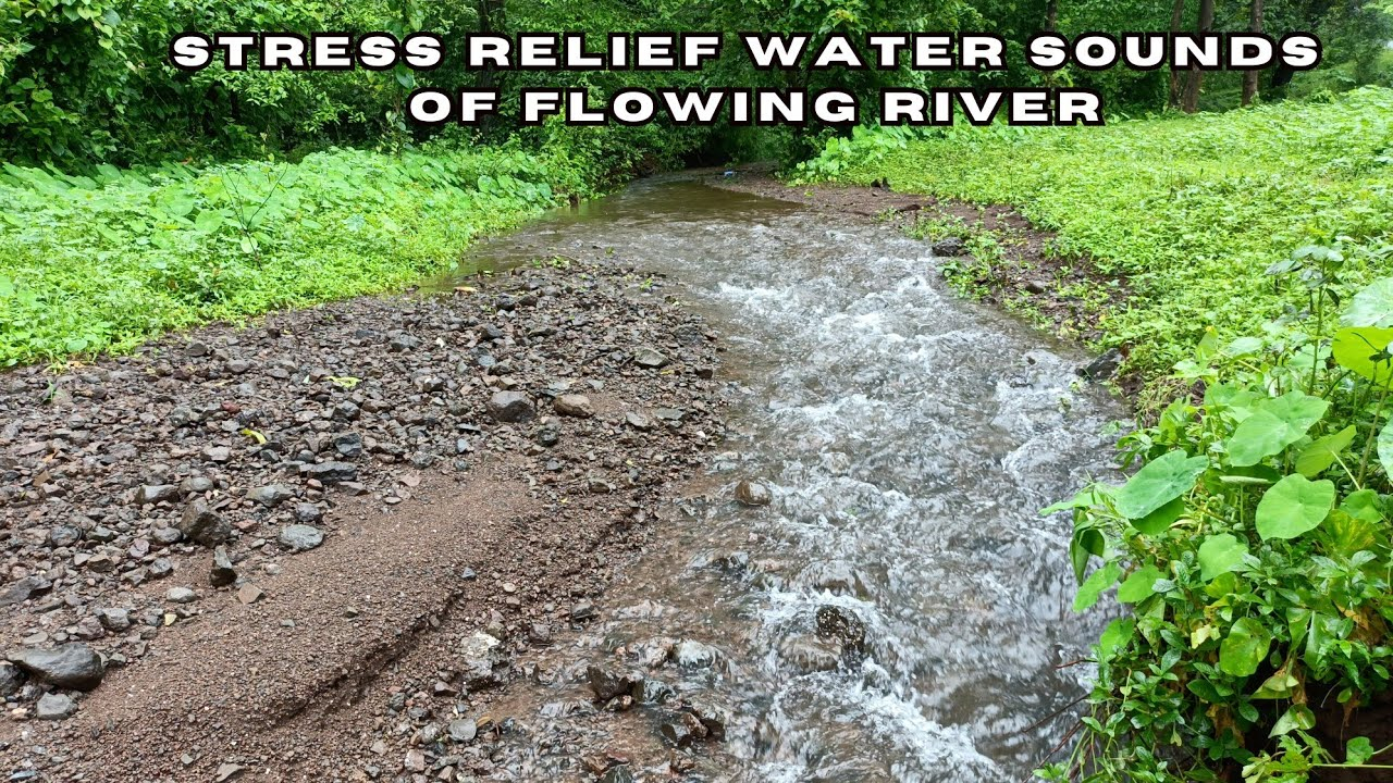 Stress Relief Water Sounds Of Flowing River | Water Sound - Youtube for The Psychology Of Sound How Flowing Water Reduces Urban Stress