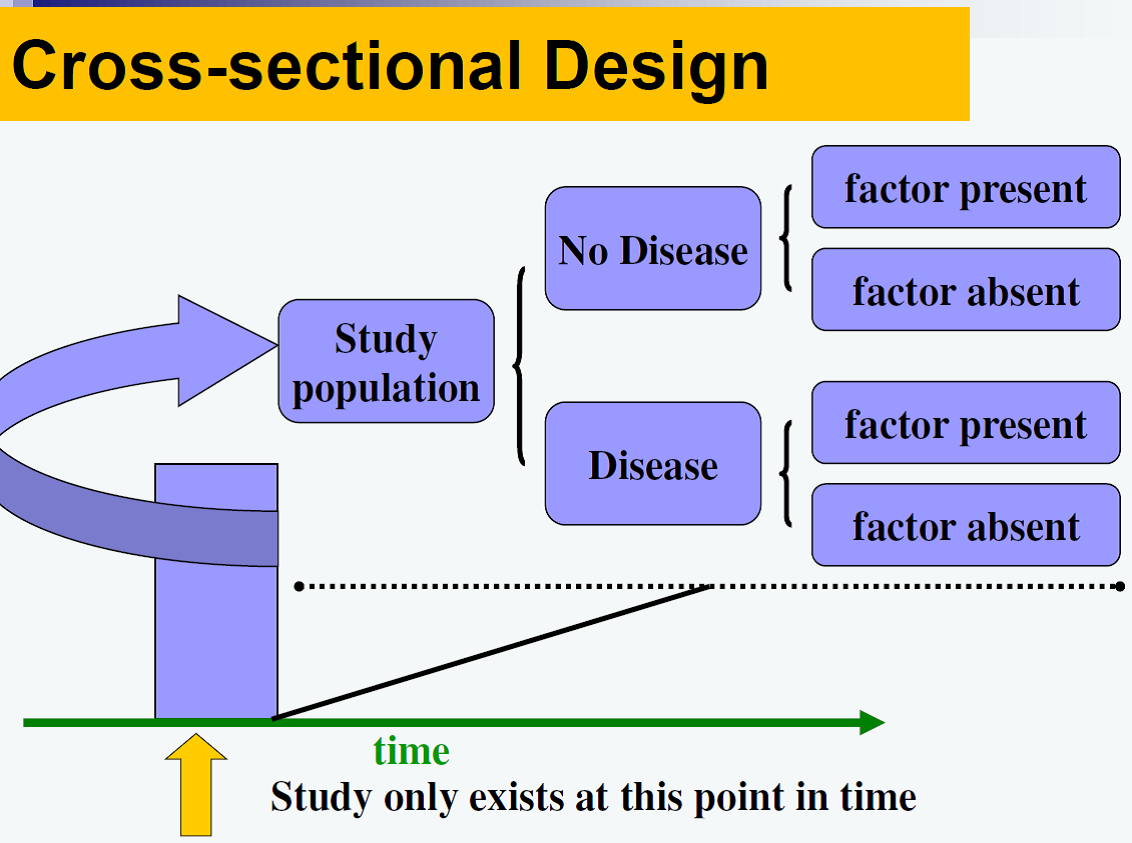 Decoding the Snapshot How to Design and Implement Effective Cross Sectional Studies in 2026