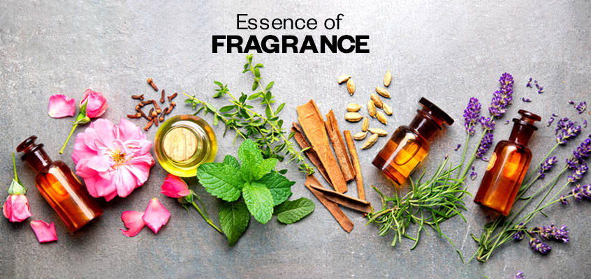 All About Fragrance: Unveiling The Art And Science Of Scent in Translating Personal Memory and Nature Into Intentionally Crafted Fragrance Objects
