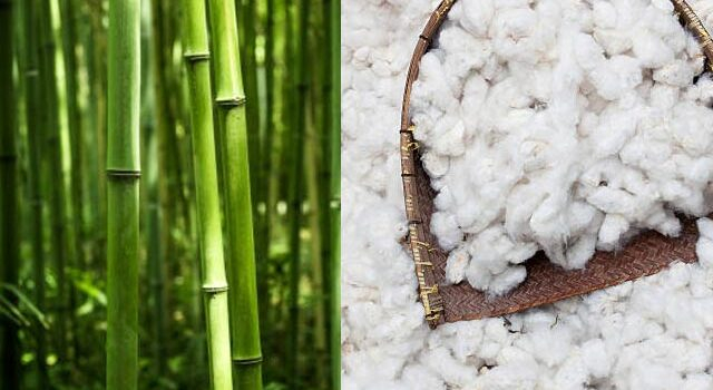 How Sustainable Bamboo Fibers and Organic Cotton Are Quietly Transforming Everyday Loungewear