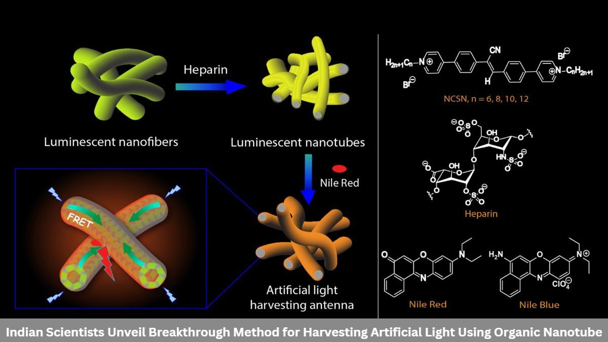How Artificial Light Works At Luke Kinnear Blog regarding Human Centric Lighting