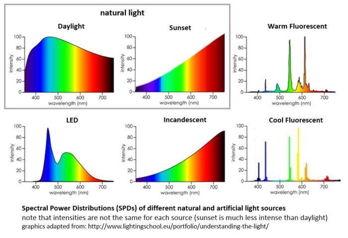 What years of research reveal about how artificial light shapes our daily well-being
