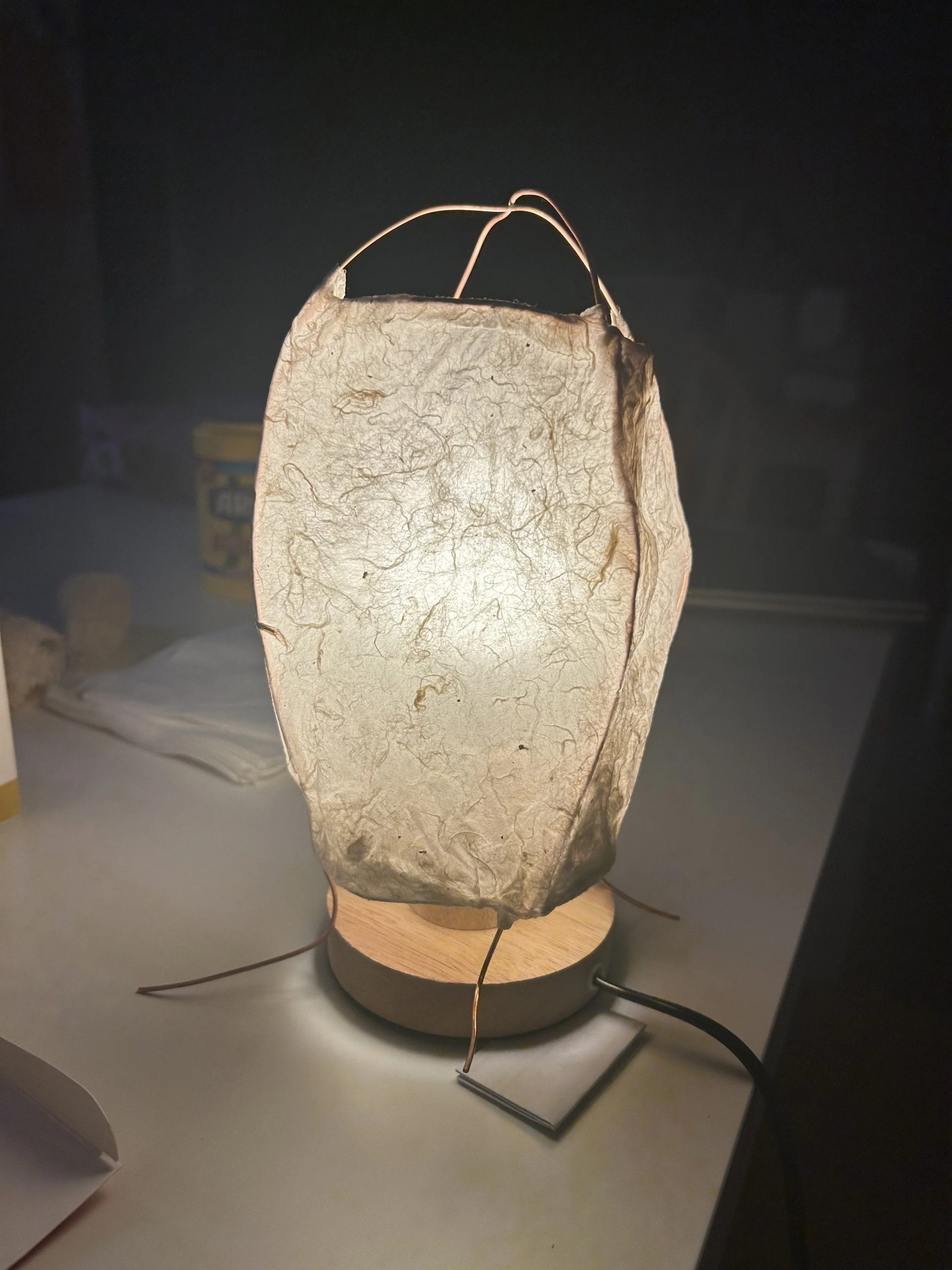 What spending years studying sculptural paper lanterns taught me about atmosphere