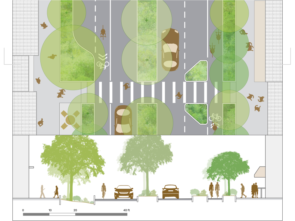 [Site Design] Streetscapes - Making Nature&amp;#039;s City intended for Rethinking neighborhood streetscapes through thoughtful auto court cluster planning