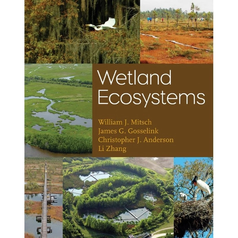 Wetland Ecosystems - The Maker's Canvas: Showcasing Skill And Originality with regard to Constructed Wetland Design