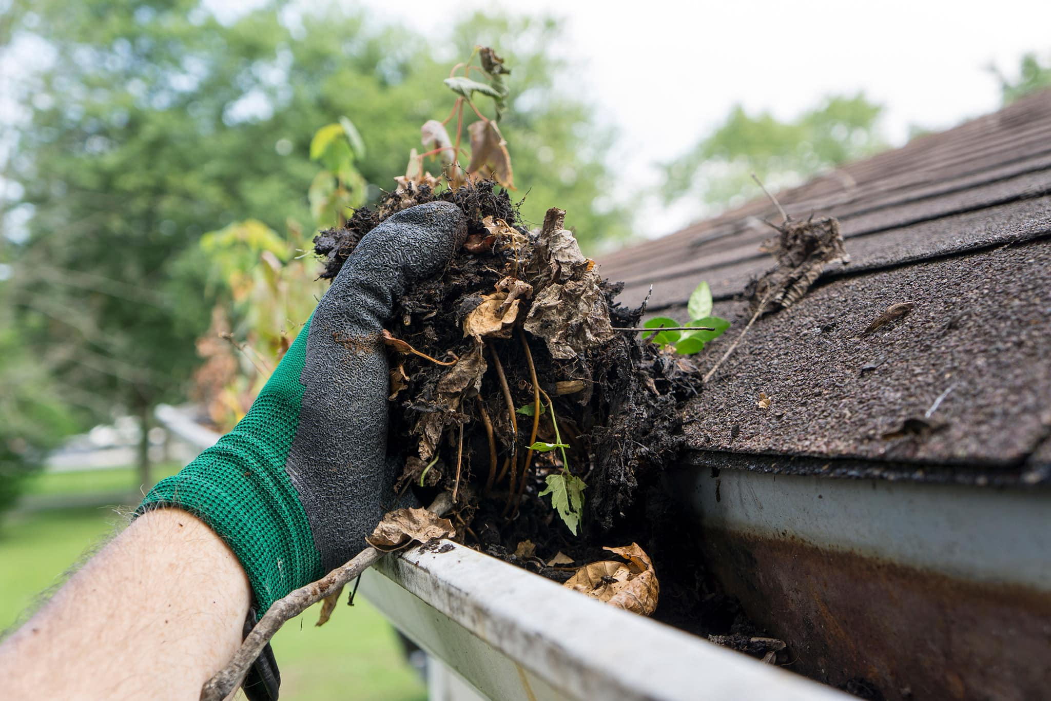 5 Reasons To Clean Your Gutters Before Winter | Caps & Dampers for Clean Gutters Before Winter: Clear the Leaves Before the First Hard Freeze