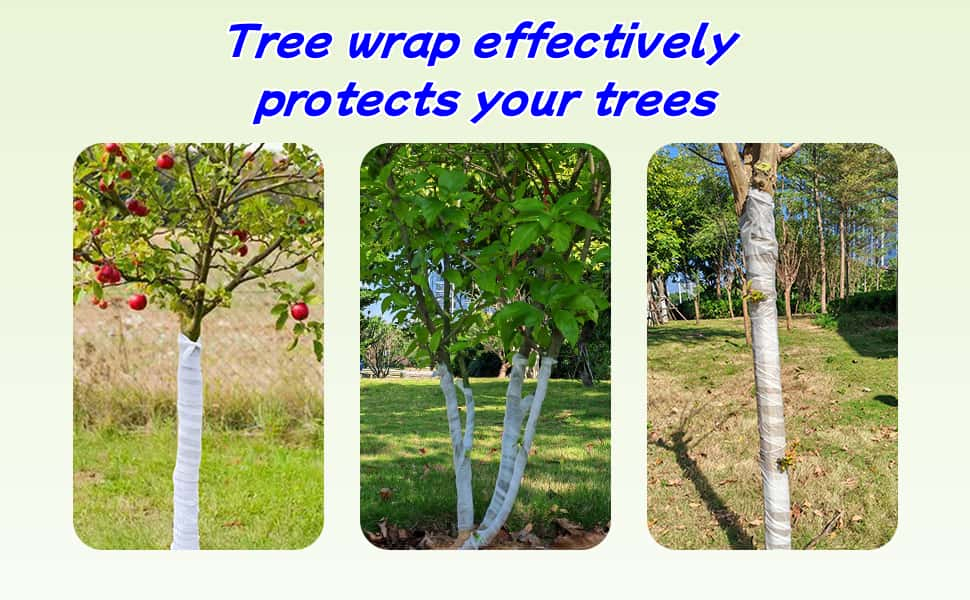 Amazon.com : Zslactp Tree Wrap To Protect Bark, 3 In X 120 Ft Tree ... pertaining to How To Protect Young Trees From Winter Frost And Sunscald