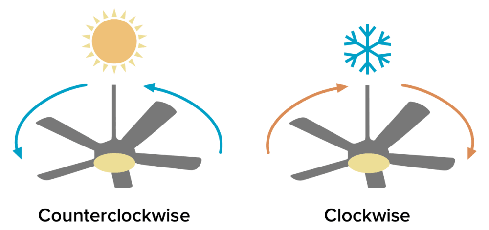 Ceiling Fan Direction In Summer And Winter | Ceiling Fan Direction ... inside Ceiling Fan Direction for Winter: Set It Clockwise and Run It on Low