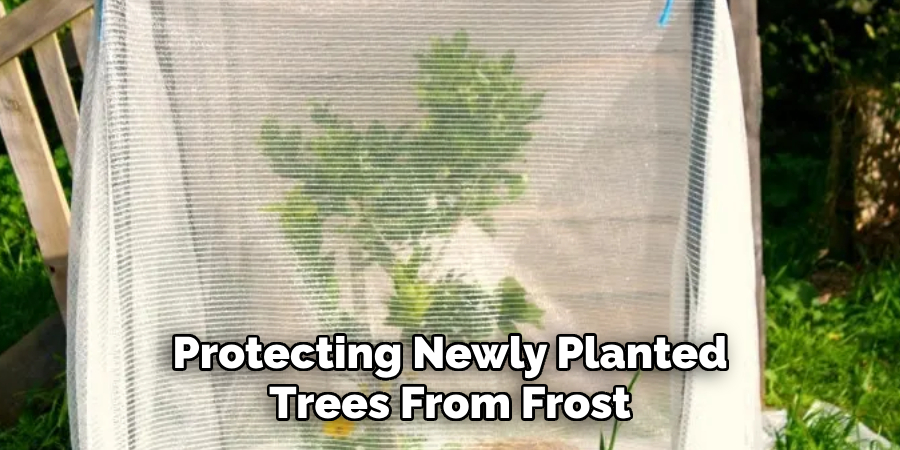 How To Protect Newly Planted Trees From Frost | 9 Easy Steps with regard to How To Protect Young Trees From Winter Frost And Sunscald
