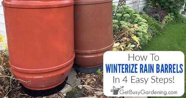 How To Winterize A Rain Barrel (In 4 Easy Steps!) - Get Busy Gardening within Winterize a Rain Barrel Without Creating a Downspout Problem